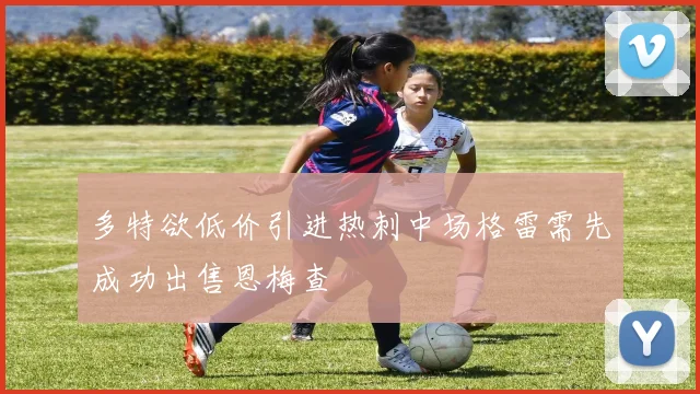 多特欲低价引进热刺中场格雷需先成功出售恩梅查